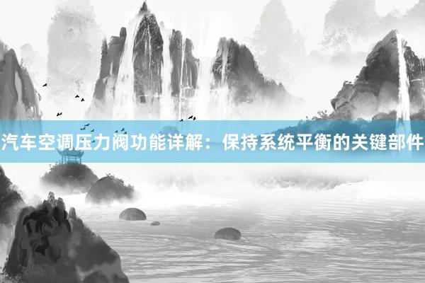 汽车空调压力阀功能详解：保持系统平衡的关键部件